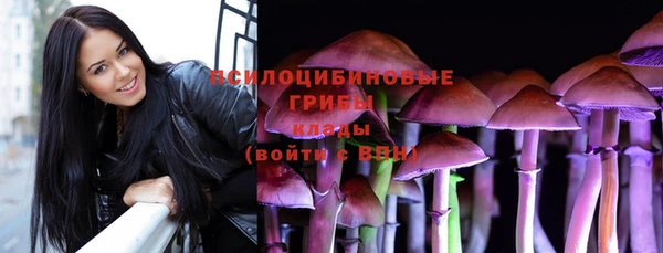метадон Заводоуковск